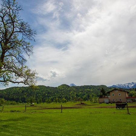 Gaestehaus Dobernig Sankt Niklas an der Drau Esterno foto